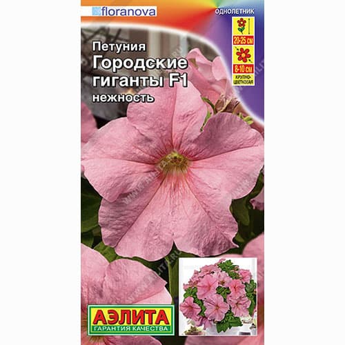 Петуния Городские гиганты нежность F1 Аэлита изображение 1 артикул 99042