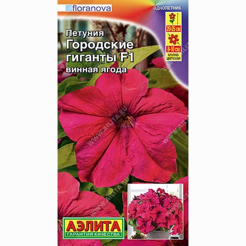 Петуния Городские гиганты винная ягода F1 Аэлита изображение 1 артикул 99041