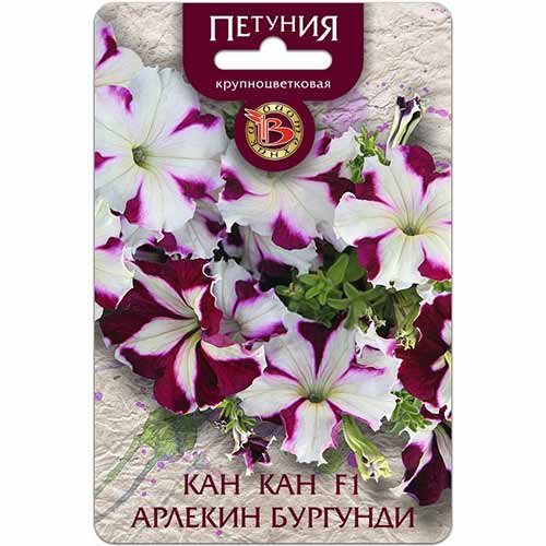 Петуния Кан-Кан Арлекин Бургунди F1 Биотехника изображение 1 артикул 84654