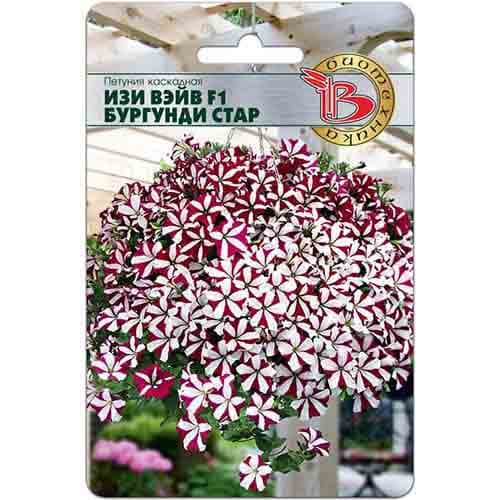 Петуния каскадная Изи Вэйв Бургунди Стар F1 Биотехника изображение 1 артикул 97350