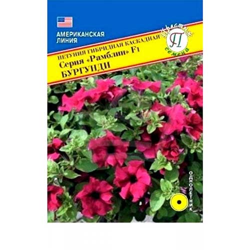 Петуния Рамблин Бургунди F1 Престиж изображение 1 артикул 71527