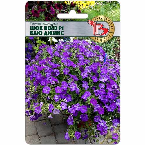 Петуния каскадная Шок Вейв Блю Джинс F1 Биотехника артикул фото 1 Петуния каскадная Шок Вейв Блю Джинс F1 Биотехника изображение 1 артикул 40437