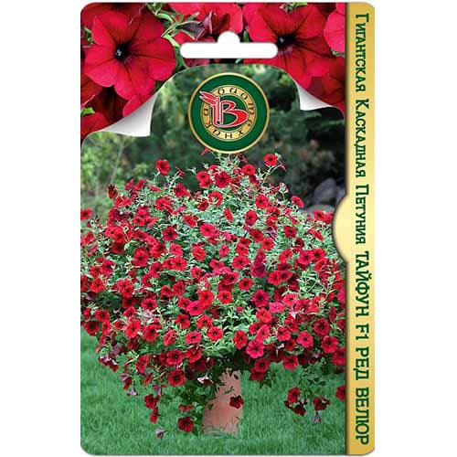 Петуния гигантская каскадная Тайфун Ред Велюр F1 Биотехника изображение 1 артикул 74119