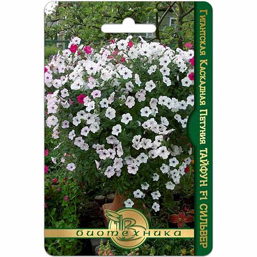 Петуния Тайфун Сильвер F1 Биотехника изображение 1 артикул 74120