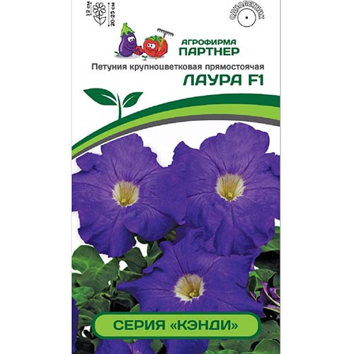 Петуния Кэнди Лаура F1 Партнер изображение 1 артикул 82996