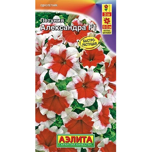 Петуния крупноцветковая Александра F1 Аэлита изображение 1 артикул 40362