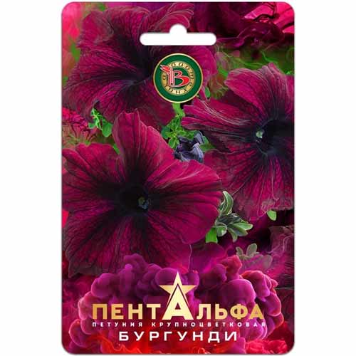 Петуния крупноцветковая Пентальфа Бургунди F1 Биотехника изображение 1 артикул 40443