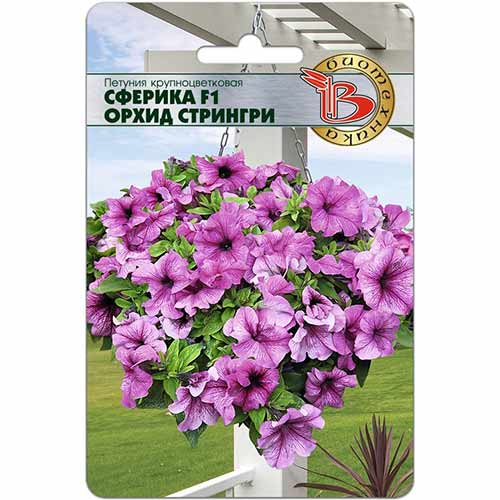 Петуния Сферика Орхид Стрингри F1 Биотехника изображение 1 артикул 74851