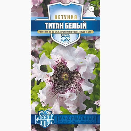Петуния крупноцветковая Титан белый Гавриш изображение 1 артикул 97777