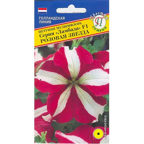 Петуния Ламбада Розовая звезда F1 Престиж изображение 1 артикул 71547