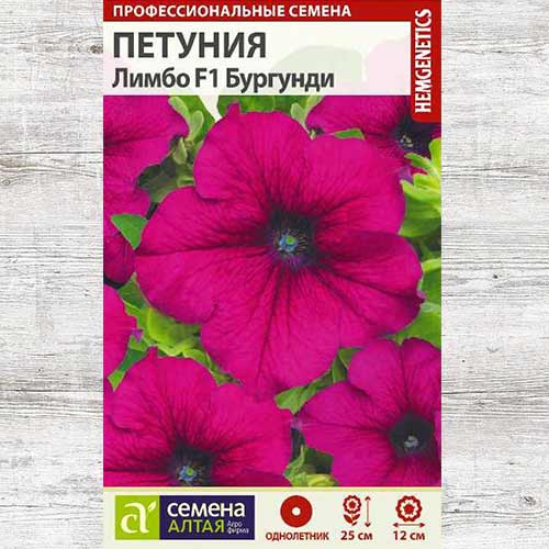 Петуния Лимбо Бургунди F1 изображение 1 артикул 81736