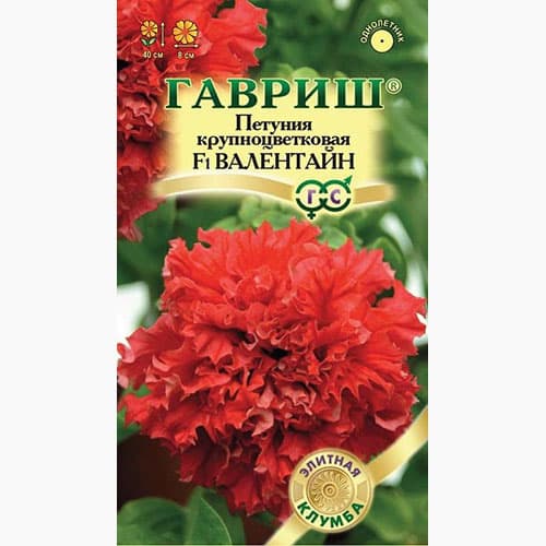 Петуния махровая крупноцветковая Валентайн F1 Гавриш изображение 1 артикул 97760