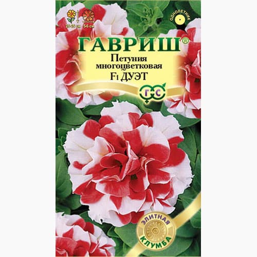 Петуния махровая многоцветковая Дуэт F1 Гавриш изображение 1 артикул 97773