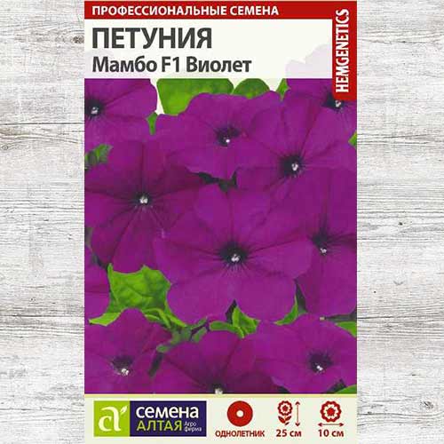 Петуния Мамбо Виолет F1 изображение 1 артикул 81754