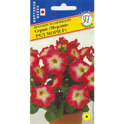 Петуния Мерлин Ред Морн F1 Престиж изображение 1 артикул 71554