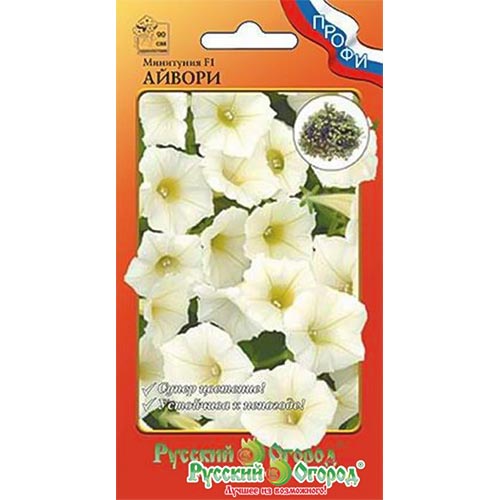 Петуния минитуния Айвори F1, семена артикул фото 1 Петуния минитуния Айвори F1, семена изображение 1 артикул 92603