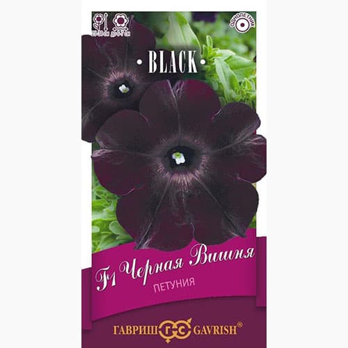 Петуния многоцветковая Черная вишня F1 Гавриш изображение 1 артикул 97797