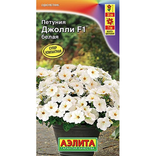 Петуния многоцветковая Джолли белая F1 Аэлита артикул фото 1 Петуния многоцветковая Джолли белая F1 Аэлита изображение 1 артикул 99110