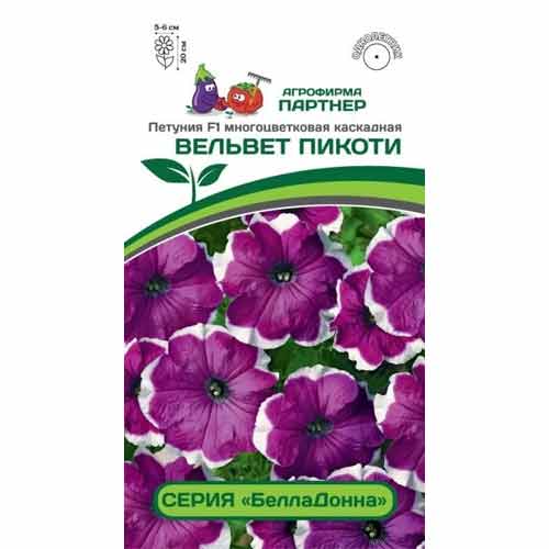 Петуния многоцветковая каскадная БеллаДонна Вельвет Пикоти F1 Партнер изображение 1 артикул 97211