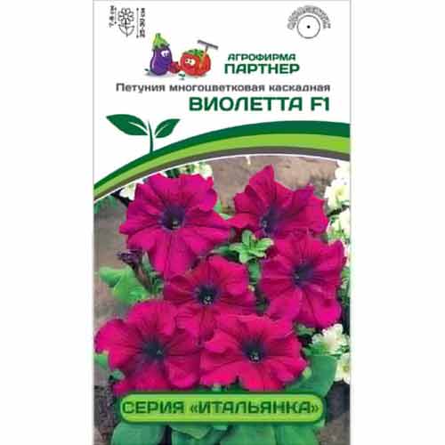 Петуния многоцветковая каскадная Итальянка Виолетта F1 Партнер изображение 1 артикул 73550