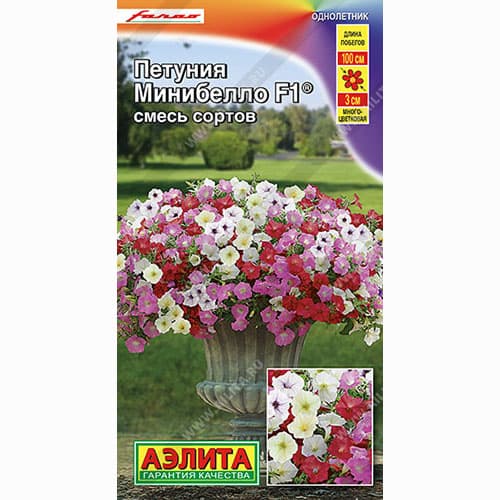 Петуния многоцветковая Минибелло F1, смесь окрасок Аэлита артикул фото 1 Петуния многоцветковая Минибелло F1, смесь окрасок Аэлита изображение 1 артикул 99104