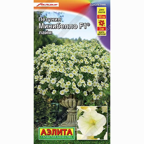 Петуния многоцветковая Минибелло лайм F1 Аэлита изображение 1 артикул 99100