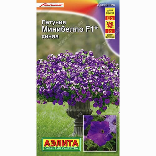 Петуния многоцветковая Минибелло синяя F1 Аэлита артикул фото 1 Петуния многоцветковая Минибелло синяя F1 Аэлита изображение 1 артикул 99103