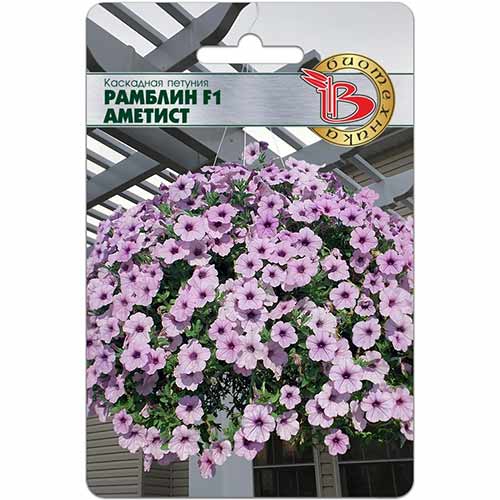 Петуния Рамблин Аметист F1 Биотехника изображение 1 артикул 84657