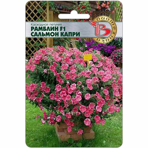 Петуния Рамблин Сальмон Капри F1 Биотехника изображение 1 артикул 84663