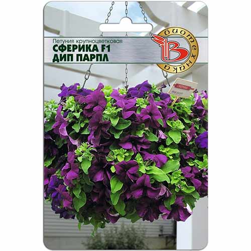 Петуния Сферика Дип Парпл F1 Биотехника изображение 1 артикул 84667