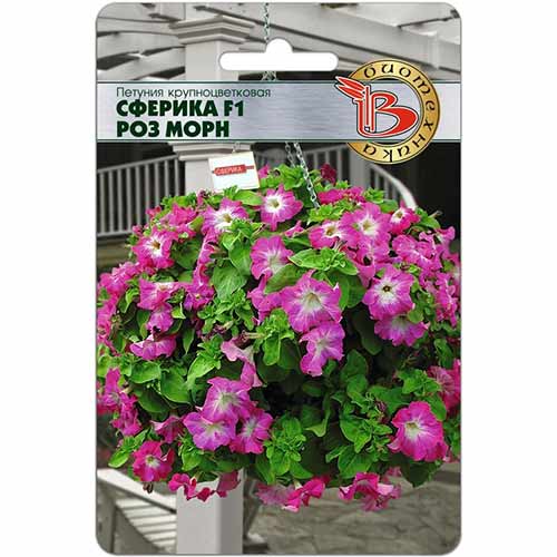 Петуния Сферика Роз Морн F1 Биотехника изображение 1 артикул 84669