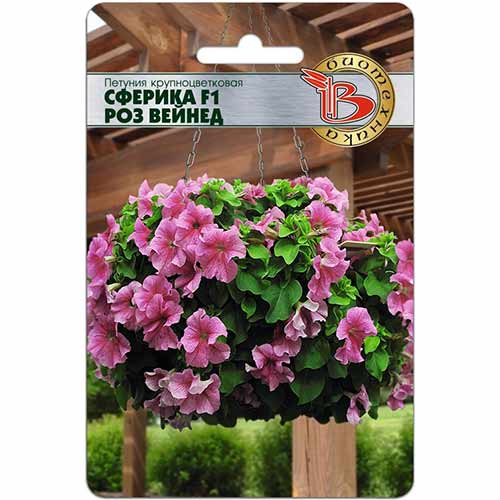 Петуния Сферика Роз Вейнед F1 Биотехника изображение 1 артикул 84668