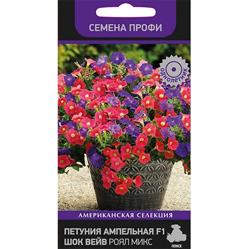 Петуния Шок Вейв Роял F1, смесь окрасок изображение 1 артикул 93089