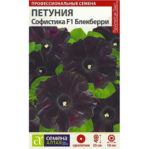 Петуния Софистика Блекберри F1 Семена Алтая артикул фото 1 Петуния Софистика Блекберри F1 Семена Алтая изображение 1 артикул 81769