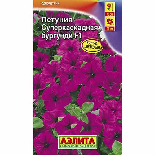 Петуния Суперкаскадная бургунди F1 Аэлита изображение 1 артикул 99125