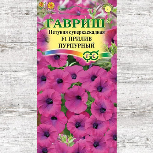 Петуния Прилив пурпурный F1 Гавриш изображение 1 артикул 66120