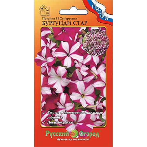 Петуния Супертуния Бургунди Стар F1, семена изображение 1 артикул 92607