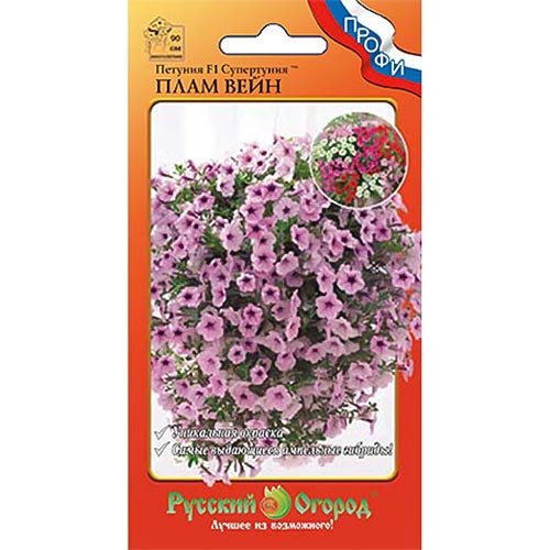 Петуния Супертуния Плам Вейн F1, семена изображение 1 артикул 92608