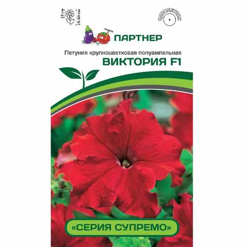 Петуния крупноцветковая полуампельная Супремо Виктория F1 Партнер артикул фото 1 Петуния крупноцветковая полуампельная Супремо Виктория F1 Партнер изображение 1 артикул 82969
