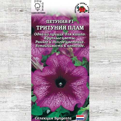 Петуния Тритуния Плам изображение 1 артикул 83659