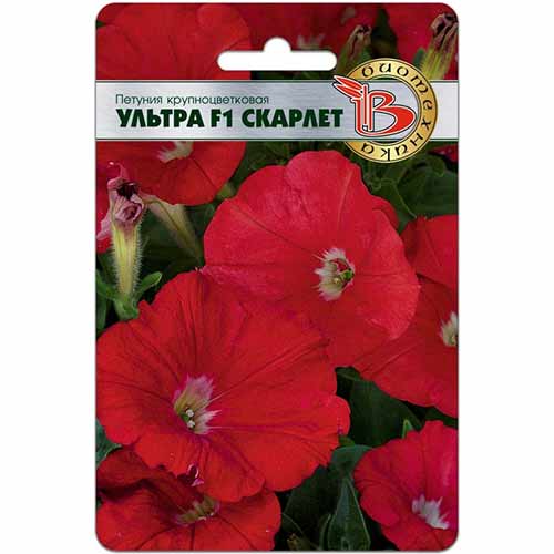 Петуния Ультра Скарлет F1 Биотехника изображение 1 артикул 84680