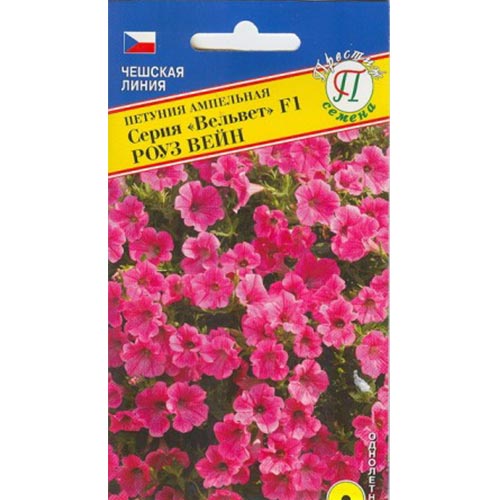 Петуния Вельвет Роуз Вейн F1 Престиж изображение 1 артикул 84514