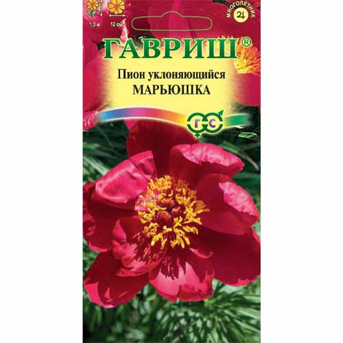 Пион уклоняющийся Марьюшка Гавриш изображение 1 артикул 40609