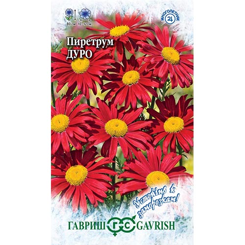 Пиретрум Дуро, семена изображение 1 артикул 92194