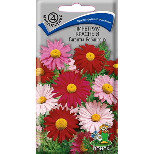 Пиретрум Гиганты Робинсона, семена изображение 1 артикул 93090