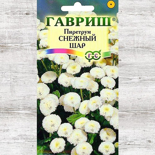 Пиретрум Снежный шар Гавриш изображение 1 артикул 73898