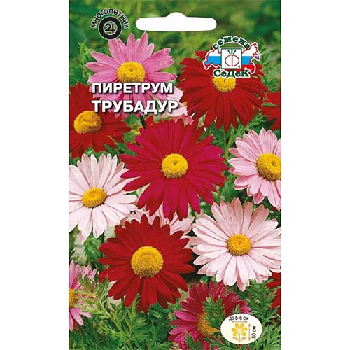 Пиретрум Трубадур, смесь окрасок изображение 1 артикул 93944
