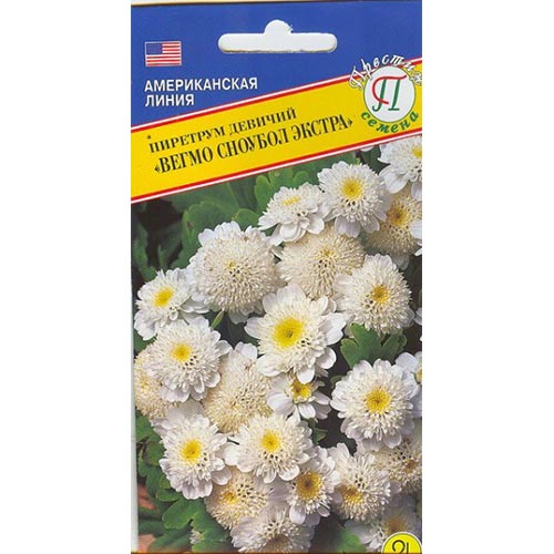 Пиретрум Вегмо Сноубол Экстра  Престиж изображение 1 артикул 84536