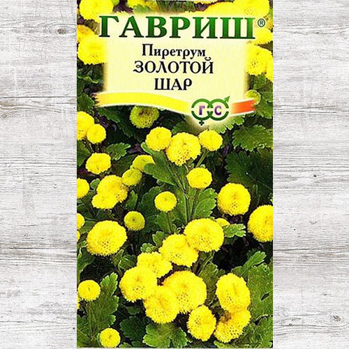 Пиретрум Золотой шар Гавриш изображение 1 артикул 73897