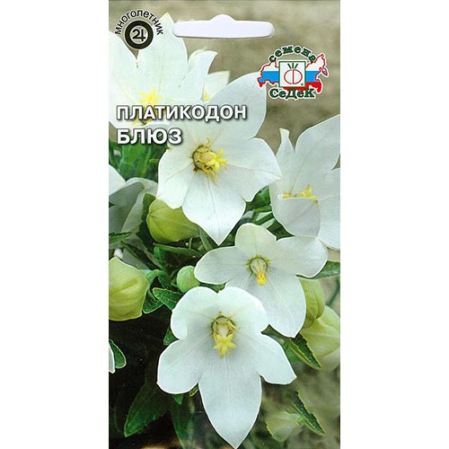 Платикодон Блюз, семена изображение 1 артикул 93945